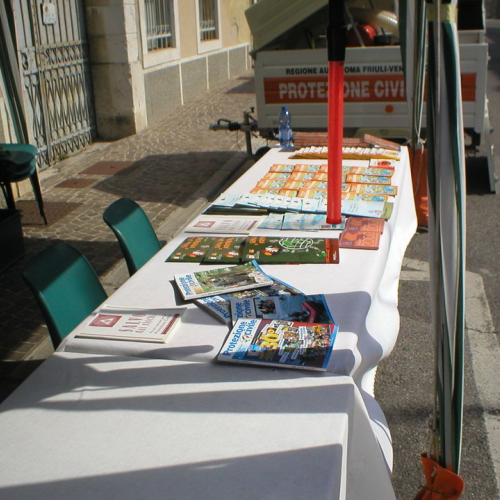 Attivit‡ per Festa dell'uva n. 11 / 70162