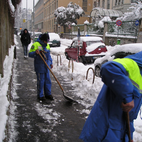 Milano 07/01/09 n. 49 / 33896