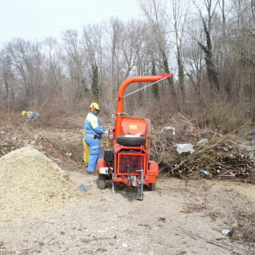 Attivit‡ pulizia Cormor n.A 3 / 35475