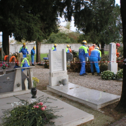 Foto 14 / 111740