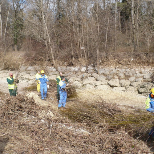 Attivit‡ pulizia Cormor n.A 4 / 35476