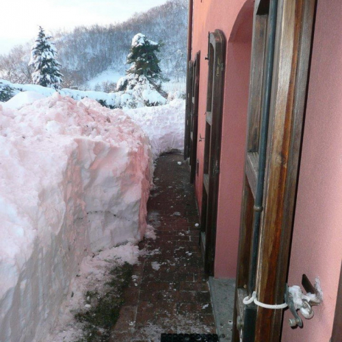 Interventi volontari in Comune di Pergola (Marche) n. 4 / 76361
