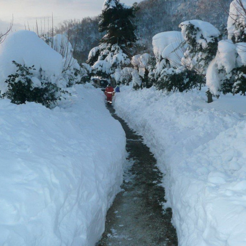 Interventi volontari in Comune di Pergola (Marche) n. 9 / 76366