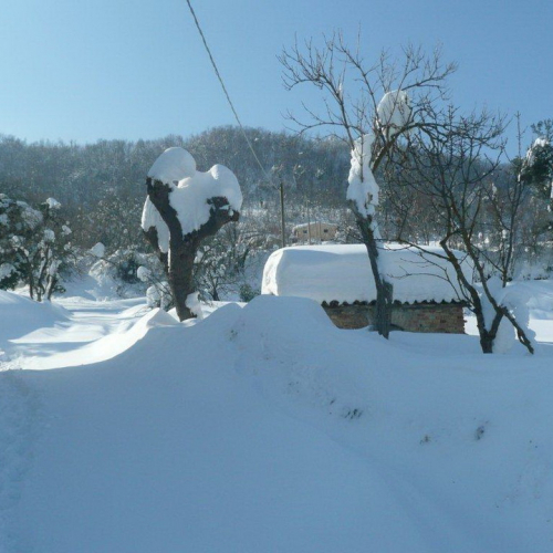 Interventi volontari in Comune di Pergola (Marche) n. 32 / 76389