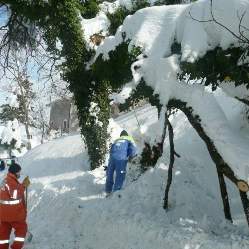 Interventi volontari in Comune di Pergola (Marche) n. 37 / 76394