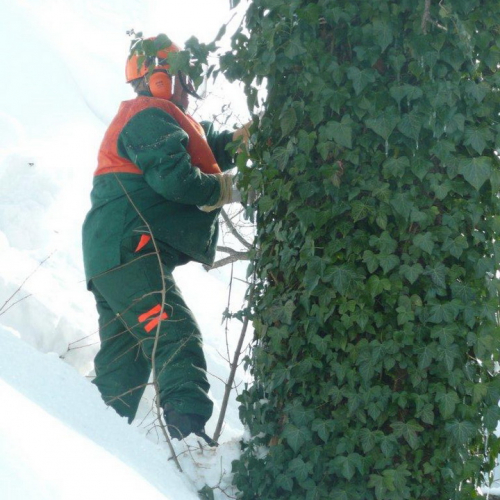 Interventi volontari in Comune di Pergola (Marche) n. 40 / 76397