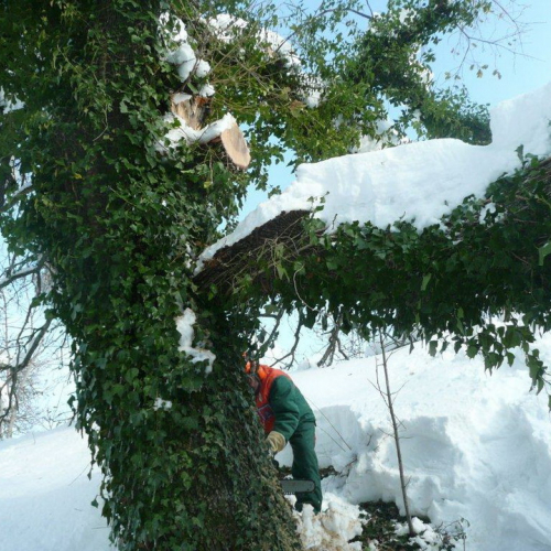 Interventi volontari in Comune di Pergola (Marche) n. 41 / 76398