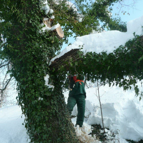Interventi volontari in Comune di Pergola (Marche) n. 42 / 76399