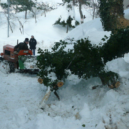 Interventi volontari in Comune di Pergola (Marche) n. 45 / 76402