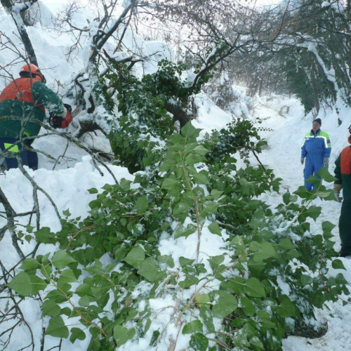 Interventi volontari in Comune di Pergola (Marche) n. 46 / 76403