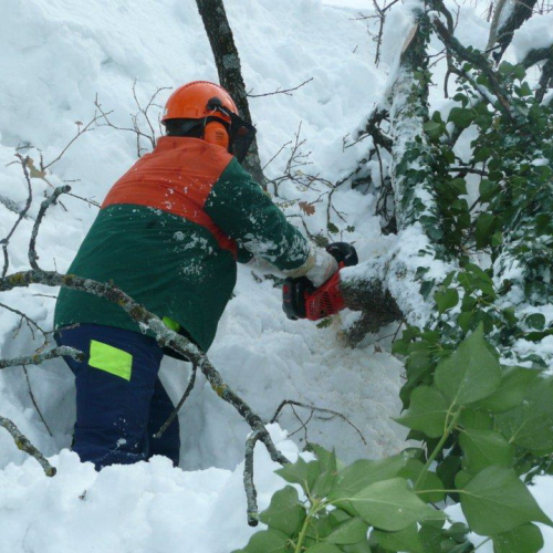 Interventi volontari in Comune di Pergola (Marche) n. 47 / 76404