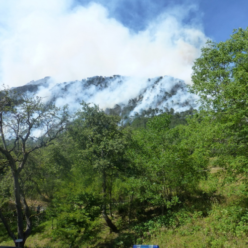 Incendio monte Jovet n. 1 / 98063