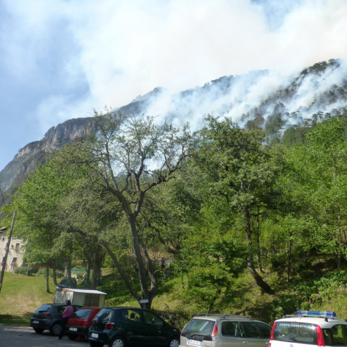 Incendio monte Jovet n. 3 / 98065
