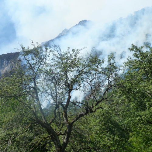 Incendio monte Jovet n. 5 / 98067