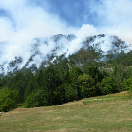 Incendio monte Jovet n. 6 / 98068