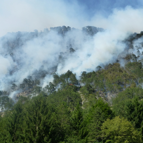 Incendio monte Jovet n. 7 / 98069