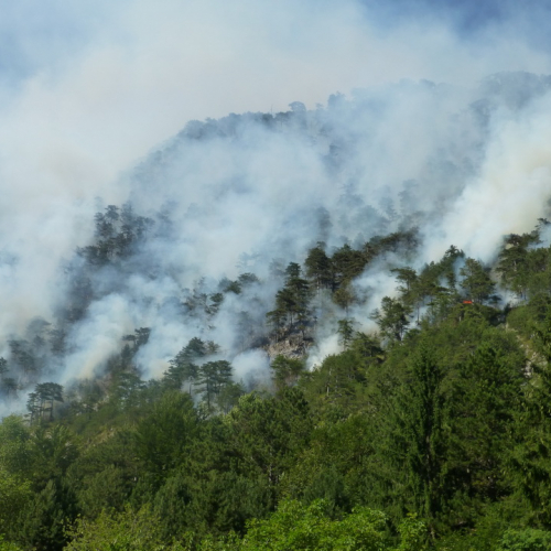Incendio monte Jovet n. 8 / 98070