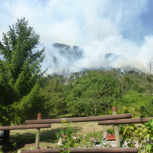 Incendio monte Jovet n. 9 / 98071