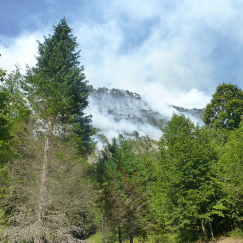 Incendio monte Jovet n. 11 / 98073