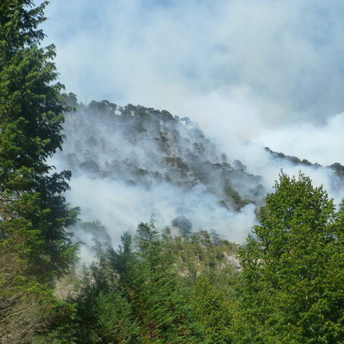 Incendio monte Jovet n. 12 / 98074