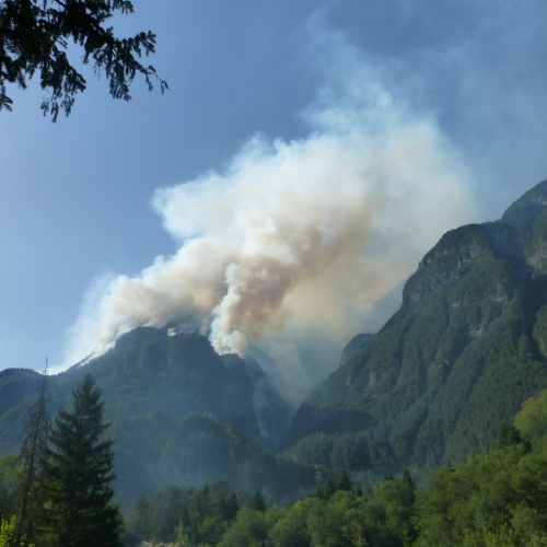 Incendio monte Jovet n. 14 / 98076