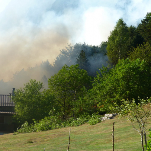 Incendio monte Jovet n. 19 / 98081