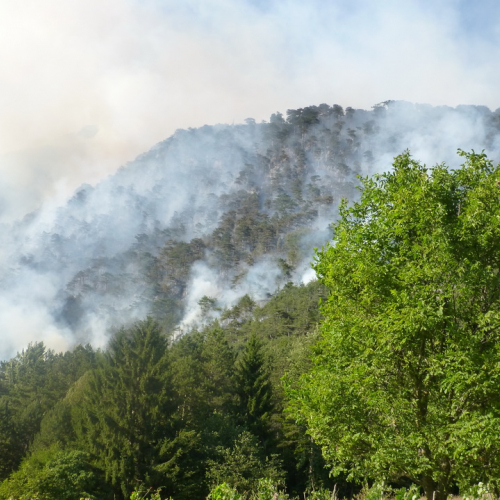 Incendio monte Jovet n. 22 / 98084