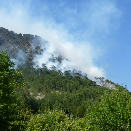Incendio monte Jovet n. 24 / 98086