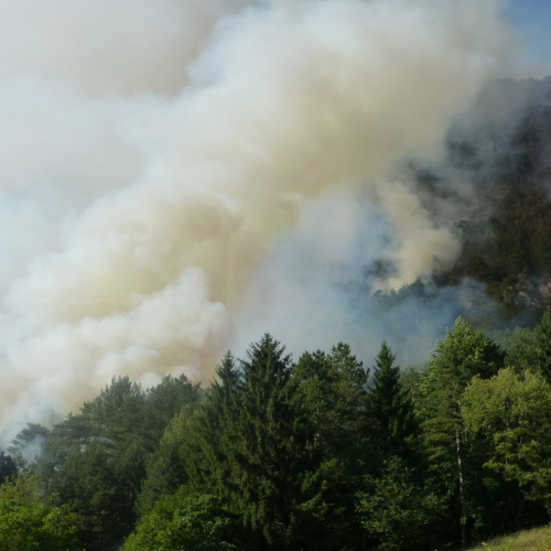 Incendio monte Jovet n. 27 / 98089