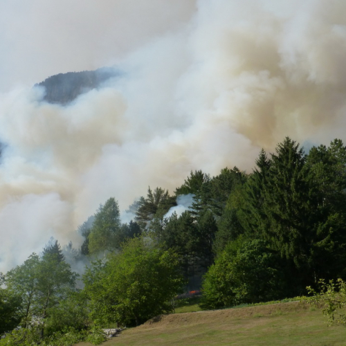 Incendio monte Jovet n. 28 / 98090