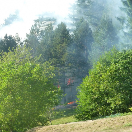 Incendio monte Jovet n. 29 / 98091
