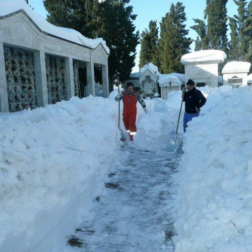 Interventi volontari in Comune di Pergola (Marche) n. 67 / 76424