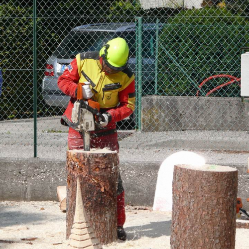 Esercitazione AIB 20.09.2008 10 / 29890