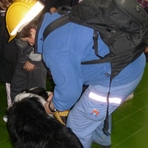 Prova evacuazione scuole 06/05 n. 10 / 51091