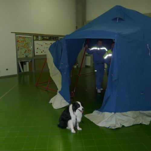 Prova evacuazione scuole 06/05 n. 18 / 51099