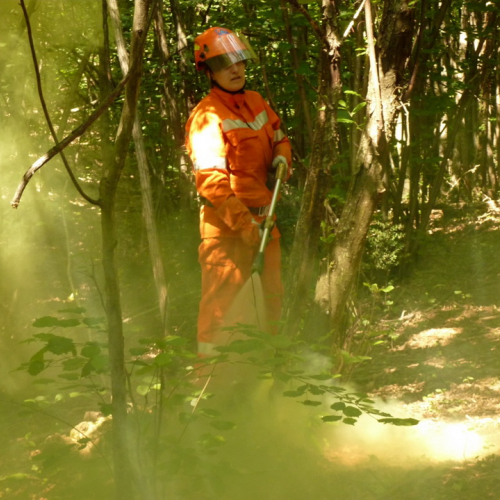 Addestramento AIB del 17/06/12 n. 5 / 83223