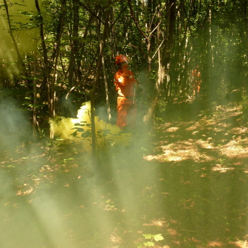 Addestramento AIB del 17/06/12 n. 6 / 83224