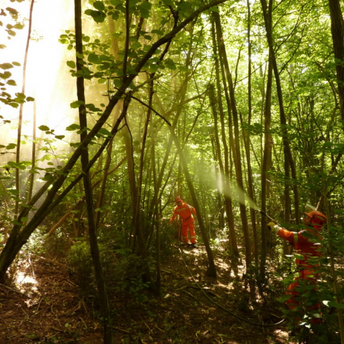 Addestramento AIB del 17/06/12 n. 8 / 83226