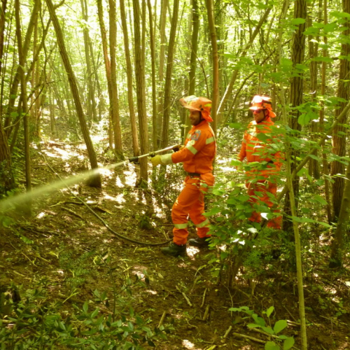 Addestramento AIB del 17/06/12 n. 9 / 83227