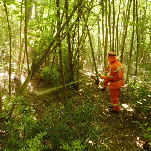 Addestramento AIB del 17/06/12 n. 10 / 83228