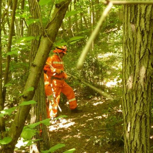 Addestramento AIB del 17/06/12 n. 11 / 83229