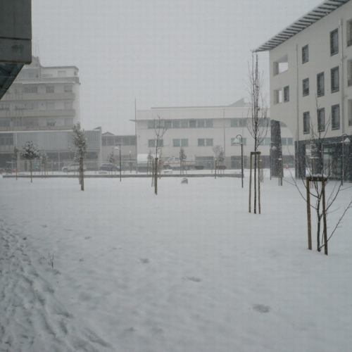 Interventi per nevicata 19/12/09 n. 2 / 46626