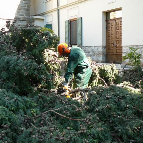 Intervento a Barbana - Grado 4 / 27568
