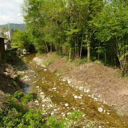 Giornata Ecologica n. 3 / 80074