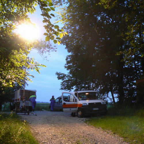 Se.Pi. Tagliamento 2008 - San Giorgio della Richinvelda foto n. 7 / 25436