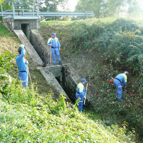 Addestramento Pravisdomini 22/10/11 n. 2 / 71541