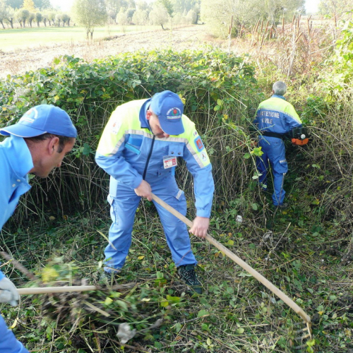 Addestramento Pravisdomini 22/10/11 n. 4 / 71543