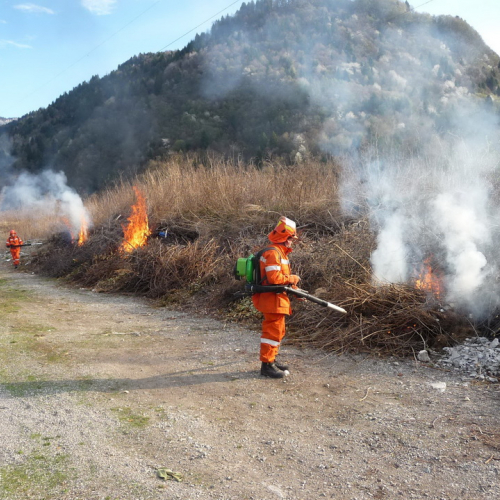 Attivit‡ prevenzione del 31/03 n. 2 / 79533