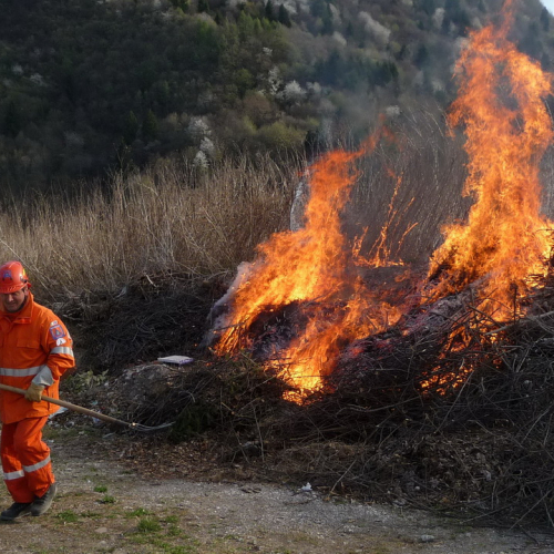 Attivit‡ prevenzione del 31/03 n. 4 / 79535
