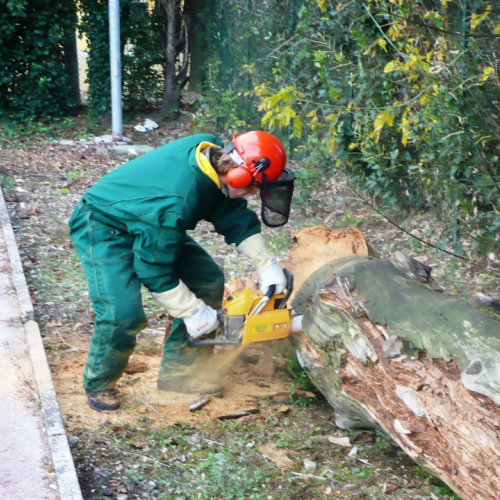 Addestramento Pravisdomini 22/10/11 n. 6 / 71545